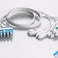 Set de latiguillos ECG desechables Philips® Twin Pin (Estilo AA)