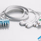 Set de latiguillos ECG compatibles Philips Twin Pin